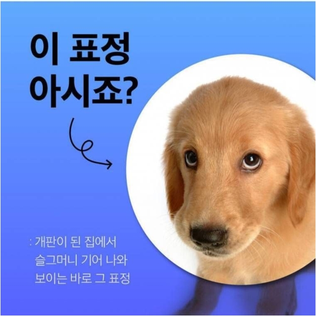 픽동산