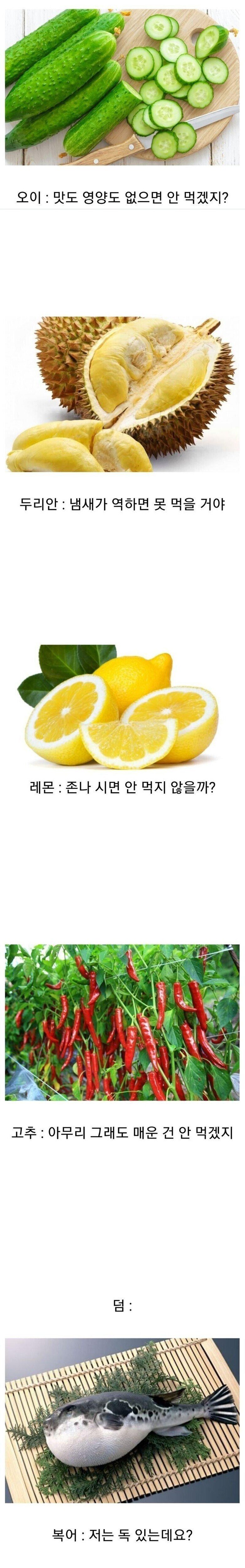 픽동산