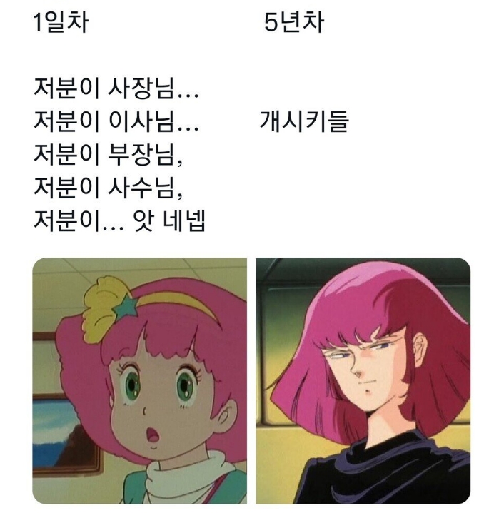 픽동산