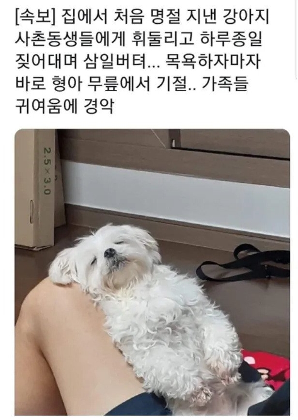 픽동산