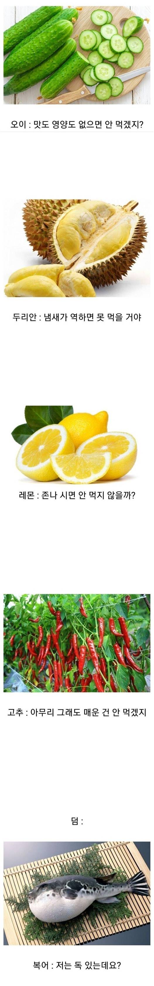 픽동산