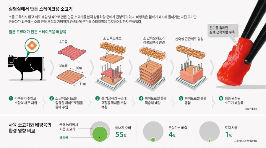 픽동산